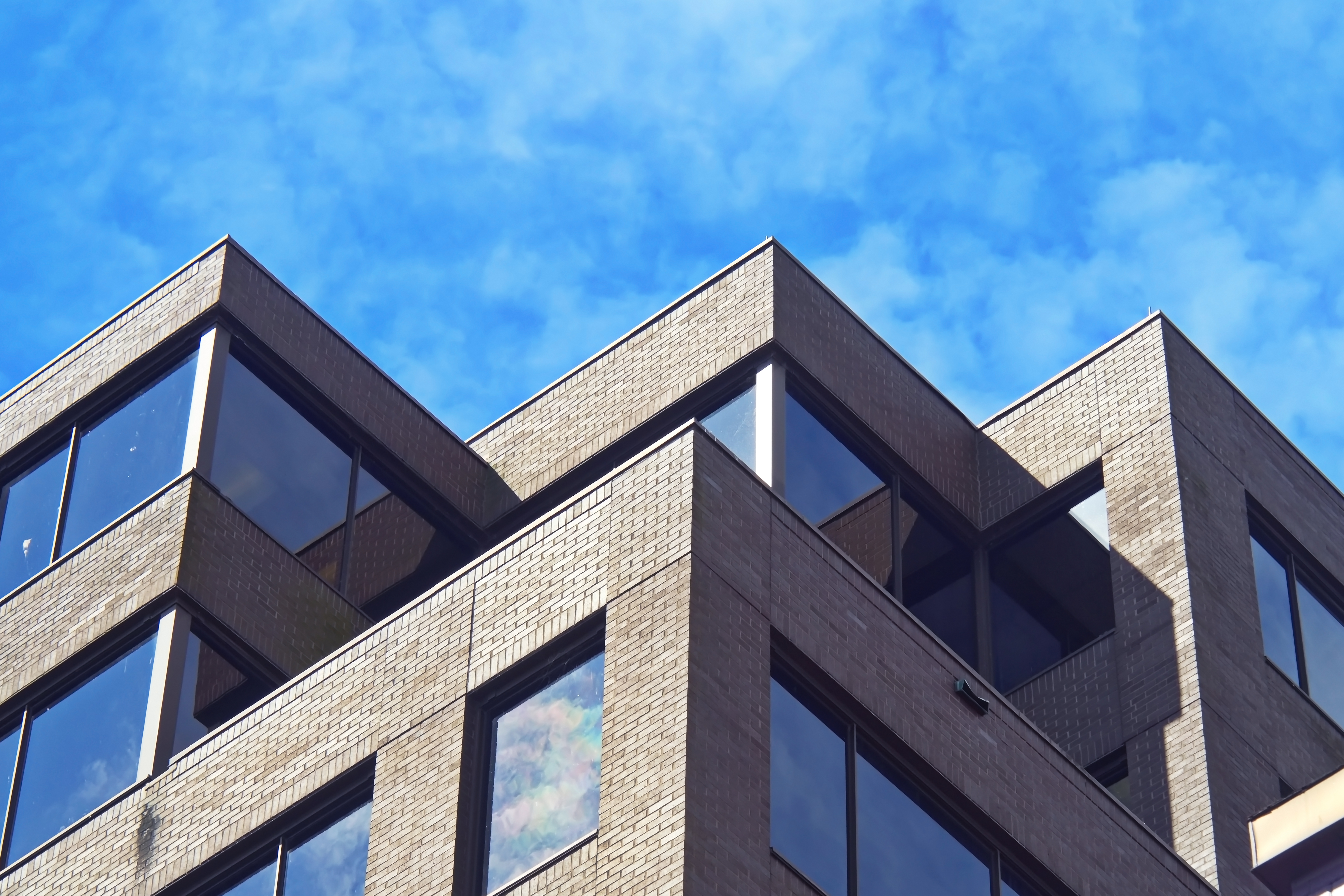 El camino al éxito / The Road to Success