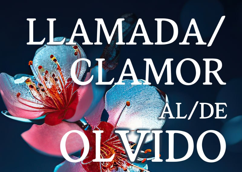 Fragmentos del libro Llamada/Clamor al/de Olvido