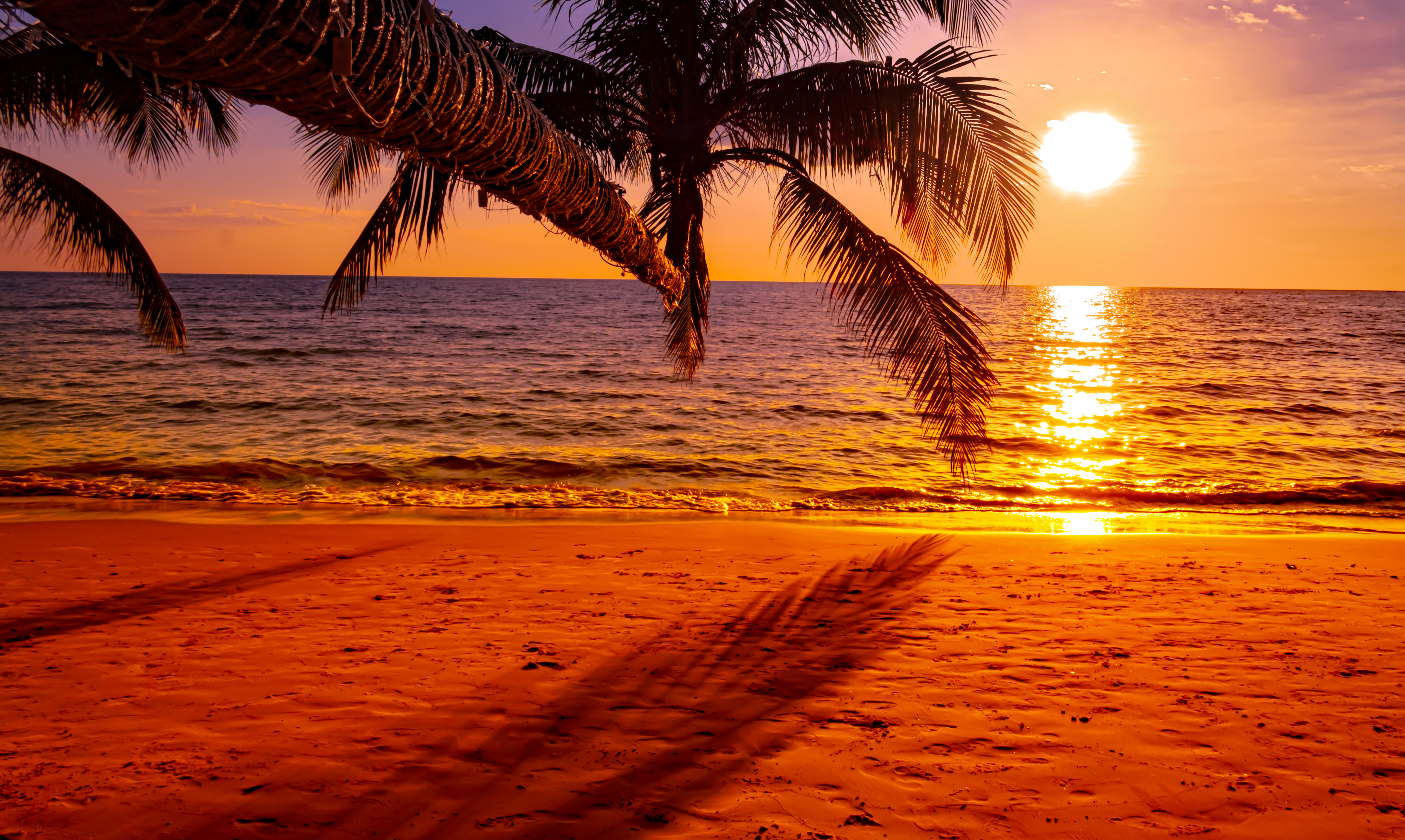 Treintona, solterona y bronceada.